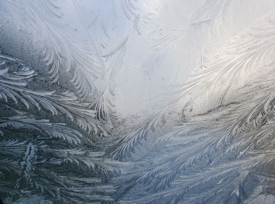 Frosted window film on bathroom window in Mumbai apartment, Bandra West
