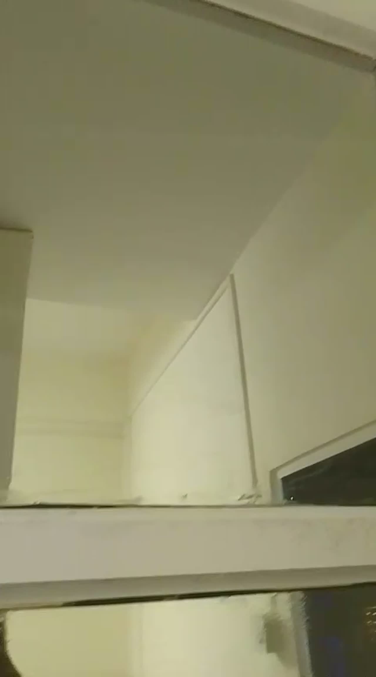 Night video walkthrough of a fit-out showing high-rise glazing with city lights and an internal white grid partition