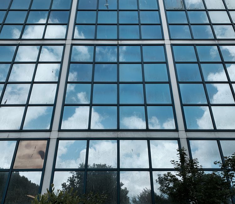 One-way mirror film on frameless glass office entrance doors, Thane West